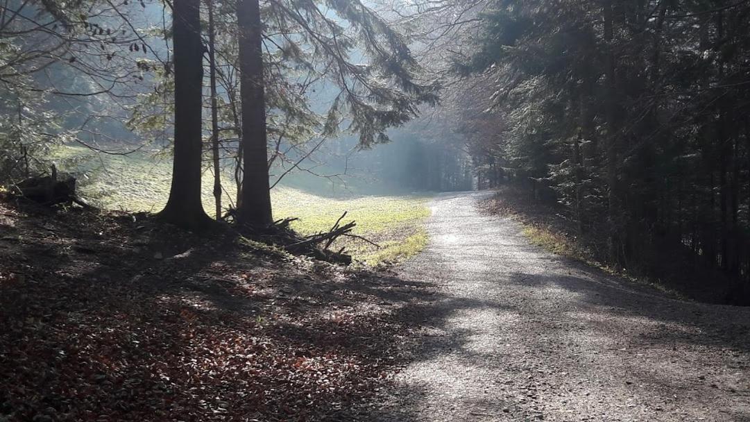 Willa Sawina Sromowce Niżne Exterior foto